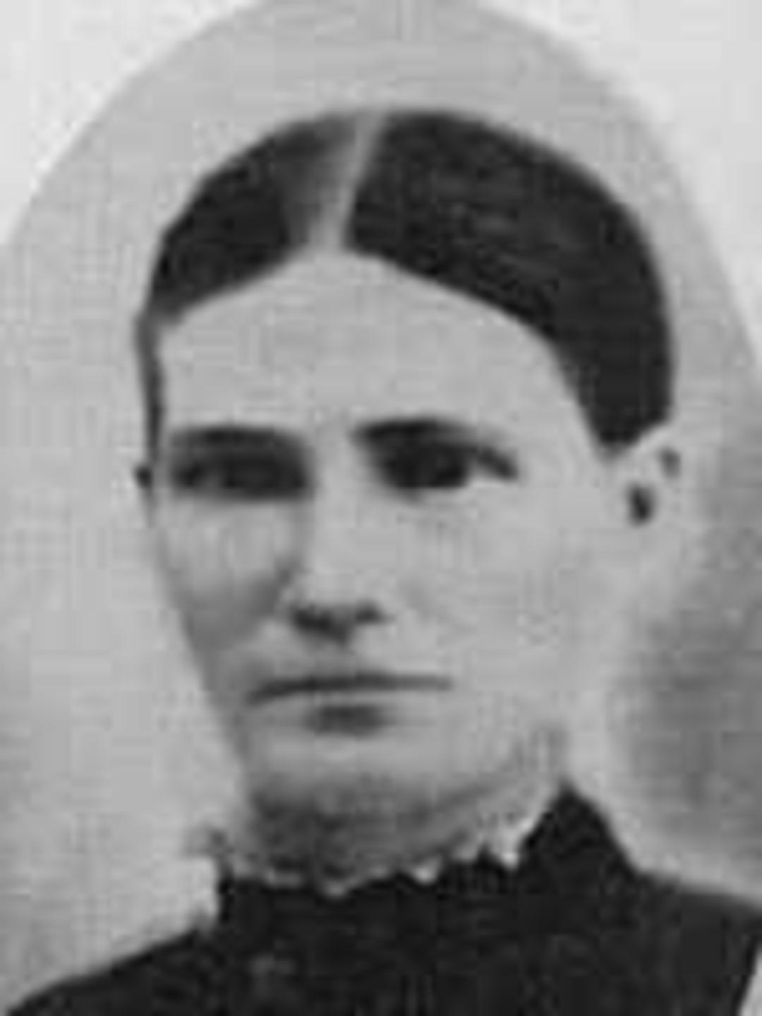 Nancy Aurelia Booth (1826 - 1853) Profile